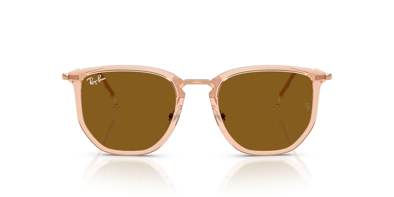 Ray-Ban 4451 Sunglasses - view 24